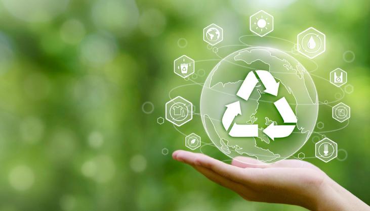 Consultoria Ambiental em Natal e no Nordeste - Projetos Ambientais Produtivos para as Empresas