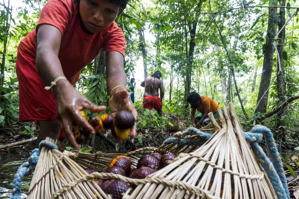 Importância-da-Preservação-das-TIs-para-o-Meio-Ambiente