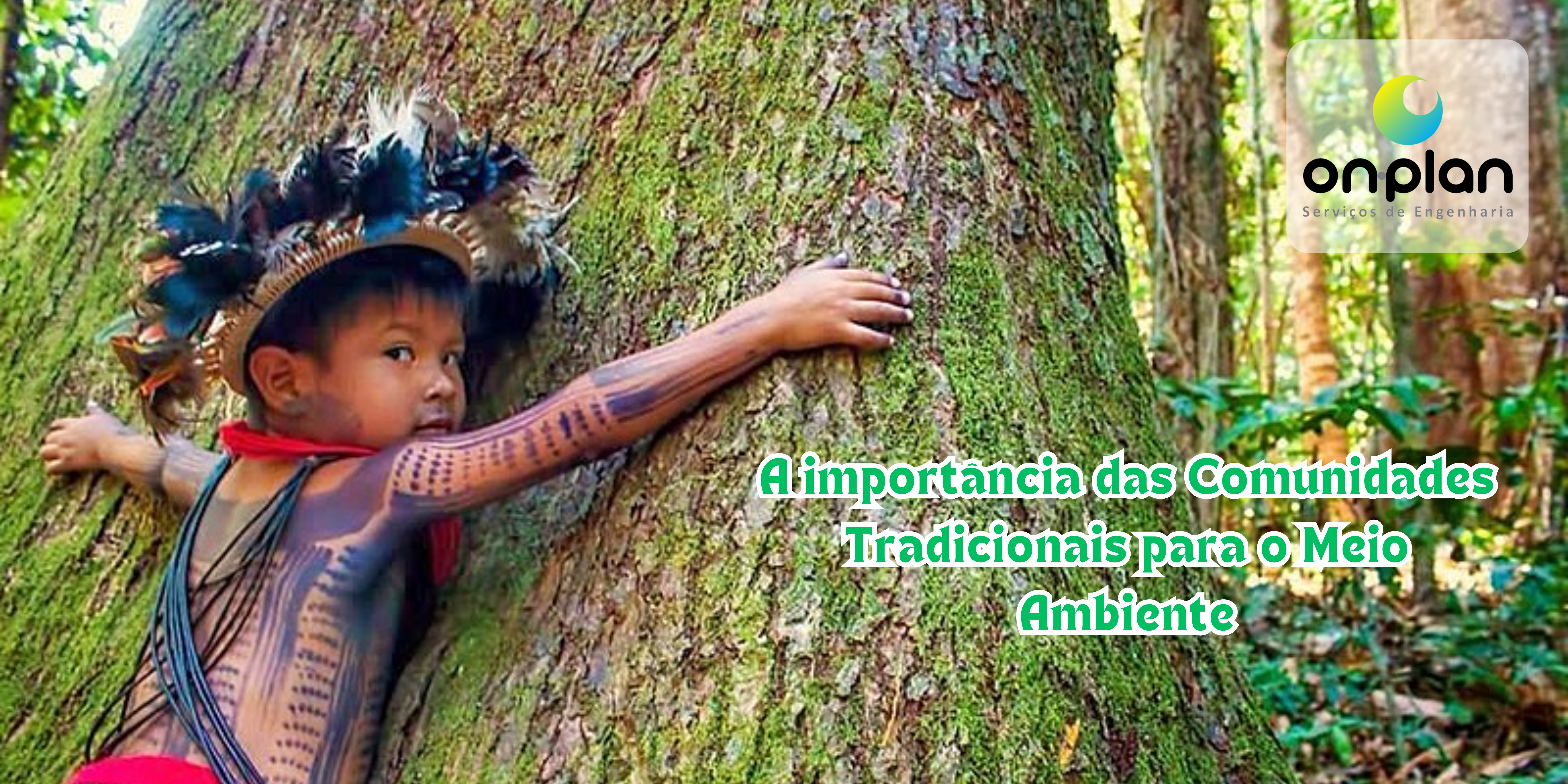 Leia mais sobre o artigo Terras Indígenas e Comunidades Tradicionais