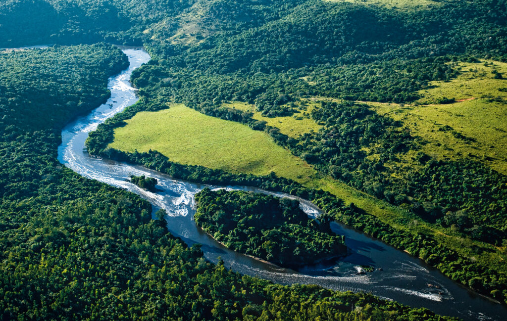 O Dia Nacional da Mata Atlântica, e a Importância desse Bioma