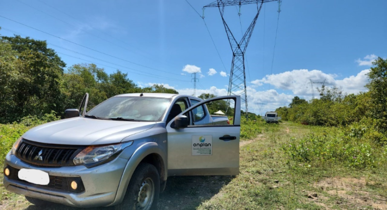 Que papéis a On-Plan desempenha na Conservação das Árvores e no Equilíbrio Ecológico?