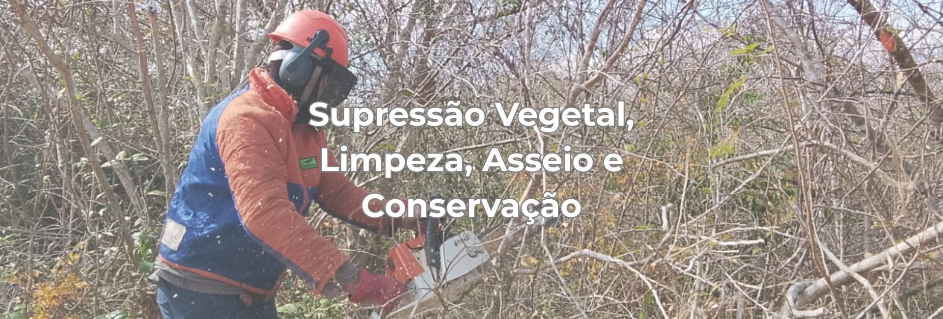Supressão vegetal, limpeza, asseio e conservação - Consultoria Ambiental em Natal RN e Nordeste